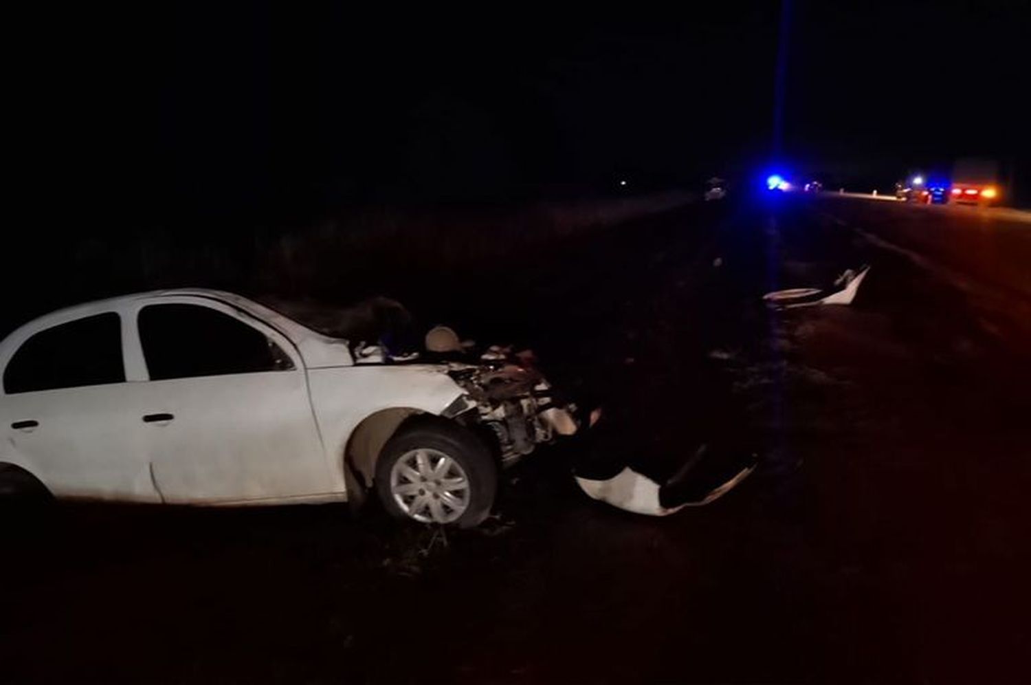La ruta permaneció cortada varias horas mientras se realizaban las pericias.