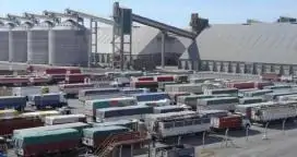Cerealeras pierden u$s3,5 millones diarios