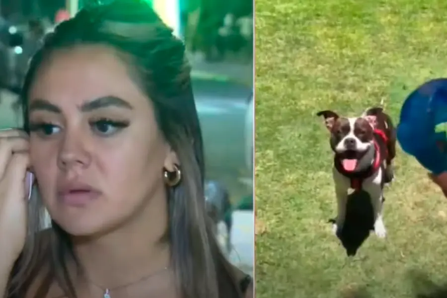 Insólito: dejó su perro al cuidado de una familia amiga y ahora no se lo quieren devolver