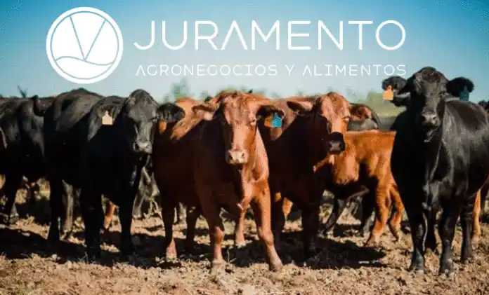 El holding agrícola ganadero Inversora Juramento cambia su nombre a Juramento