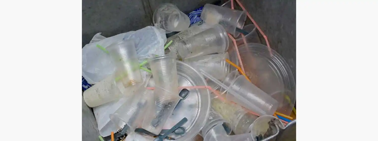 Prohibieron utilizar plásticos de un solo uso en el sector costero