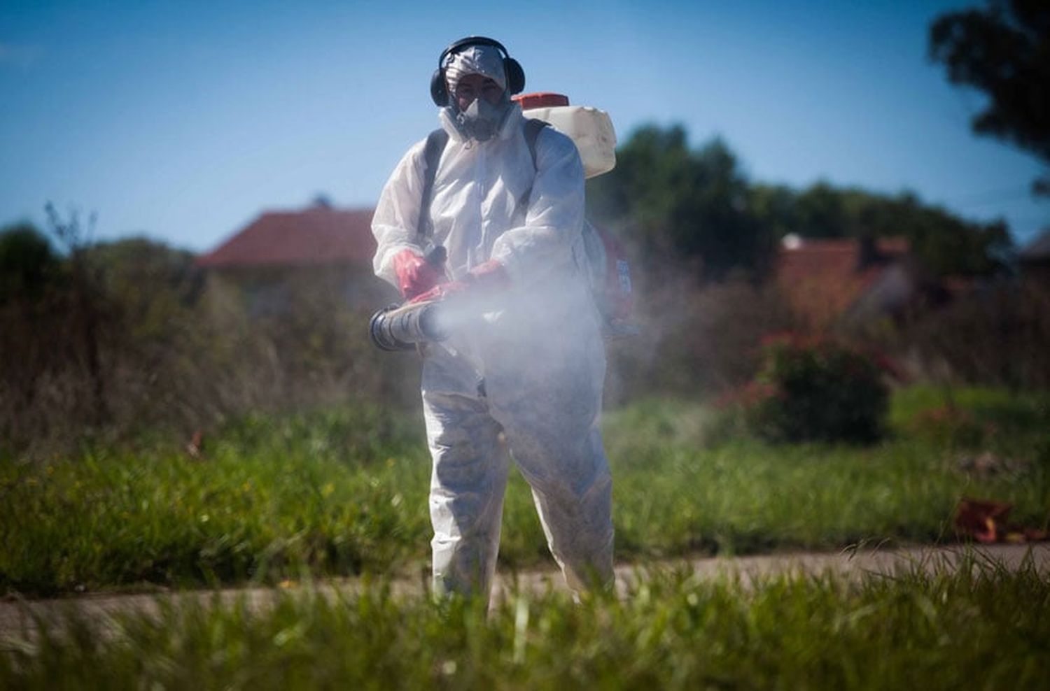 Tras una temporada récord, los casos de dengue en la provincia casi llegan a 100 mil pero siguen en baja