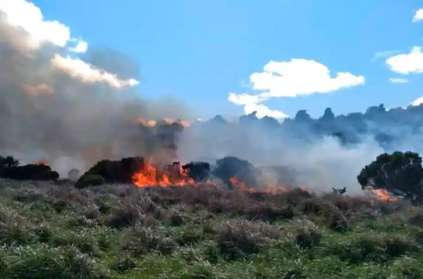 Bomberos trabajan en incendios forestales en Sierras de los Padres