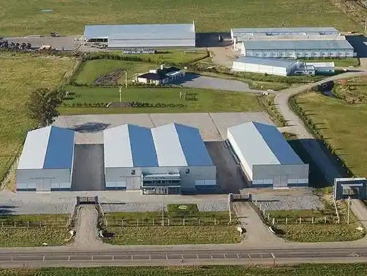 Cerró la empresa "Finca Balcarce", dedicada a la producción de papas congeladas y otros alimentos