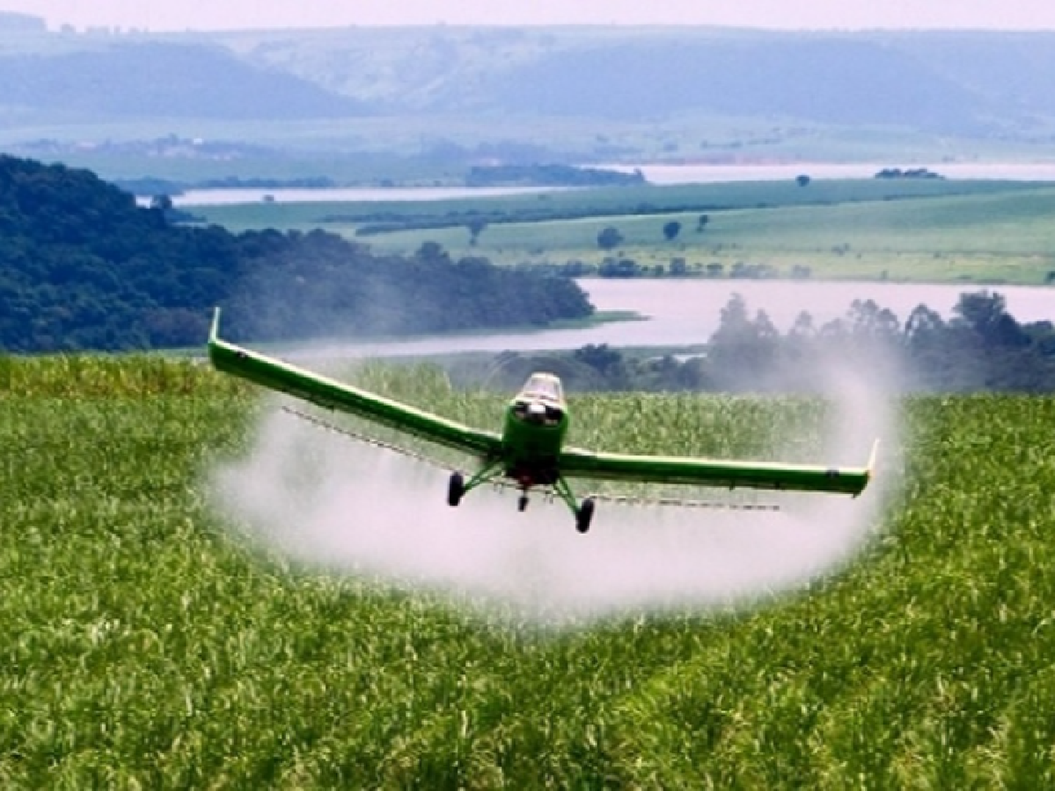 La Corte Suprema estadounidense confirmó su condena a Monsanto por el uso de glifosato