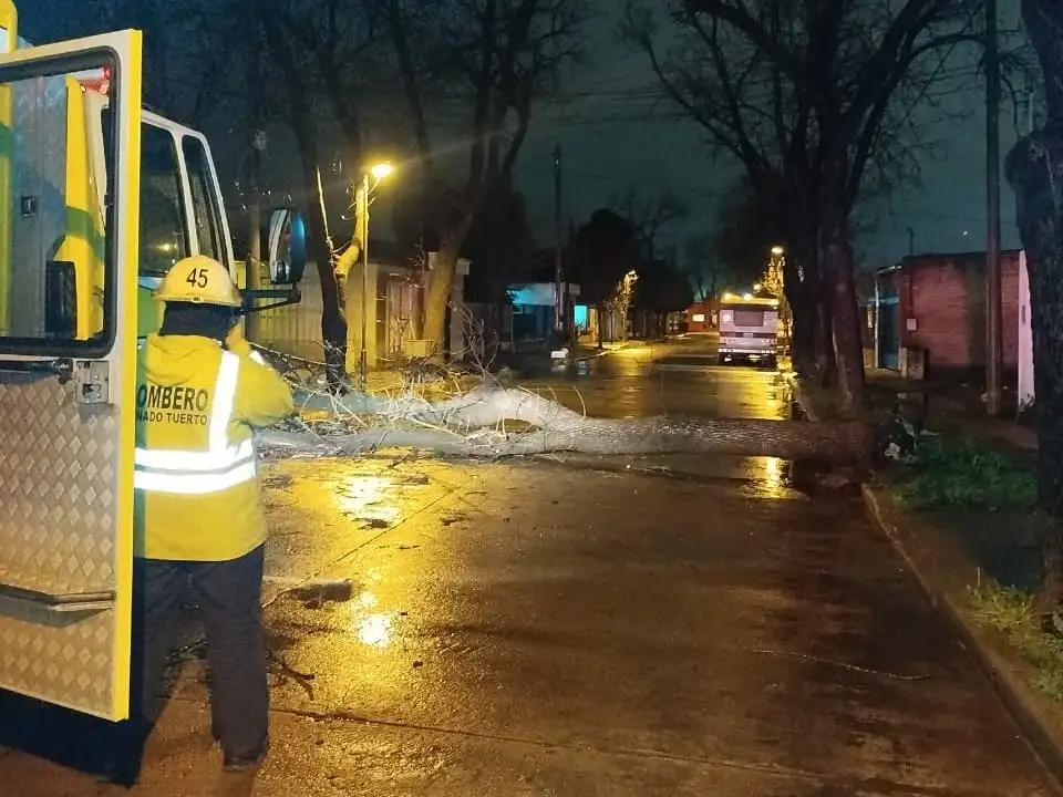 El árbol bloqueaba totalmente la calle Corrientes al 300. Crédito: Bomberos de Venado Tuerto.