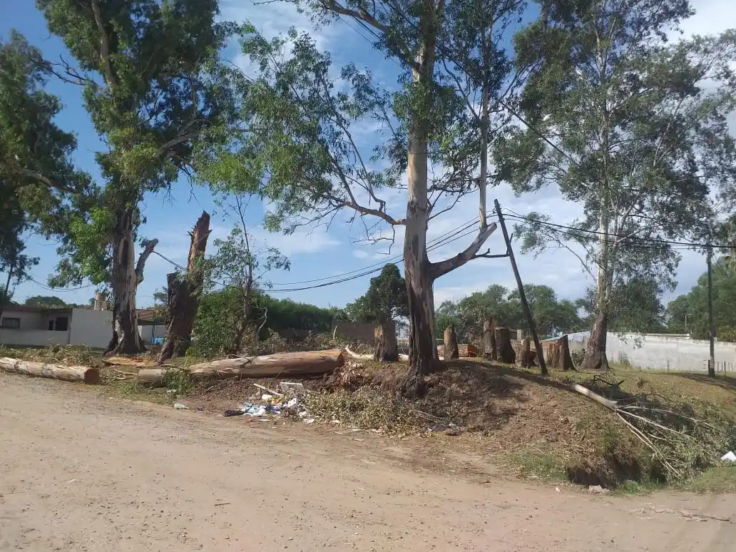 Un santafesino fue detenido en la triple frontera acusado de vender terrenos municipales de Venado Tuerto