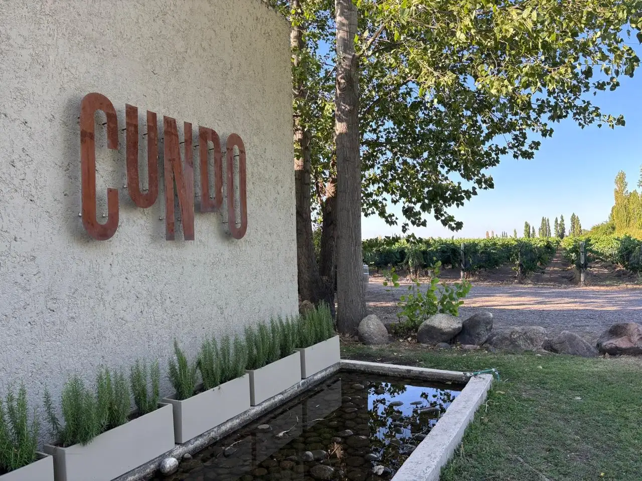 Cundo