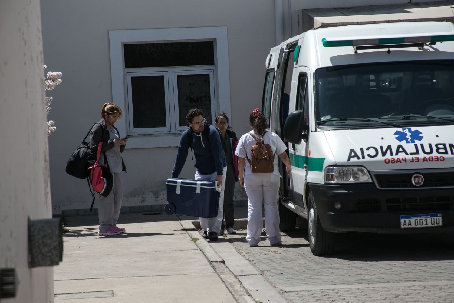 Se realizaron 100 trasplantes en medio de la cuarentena por coronavirus