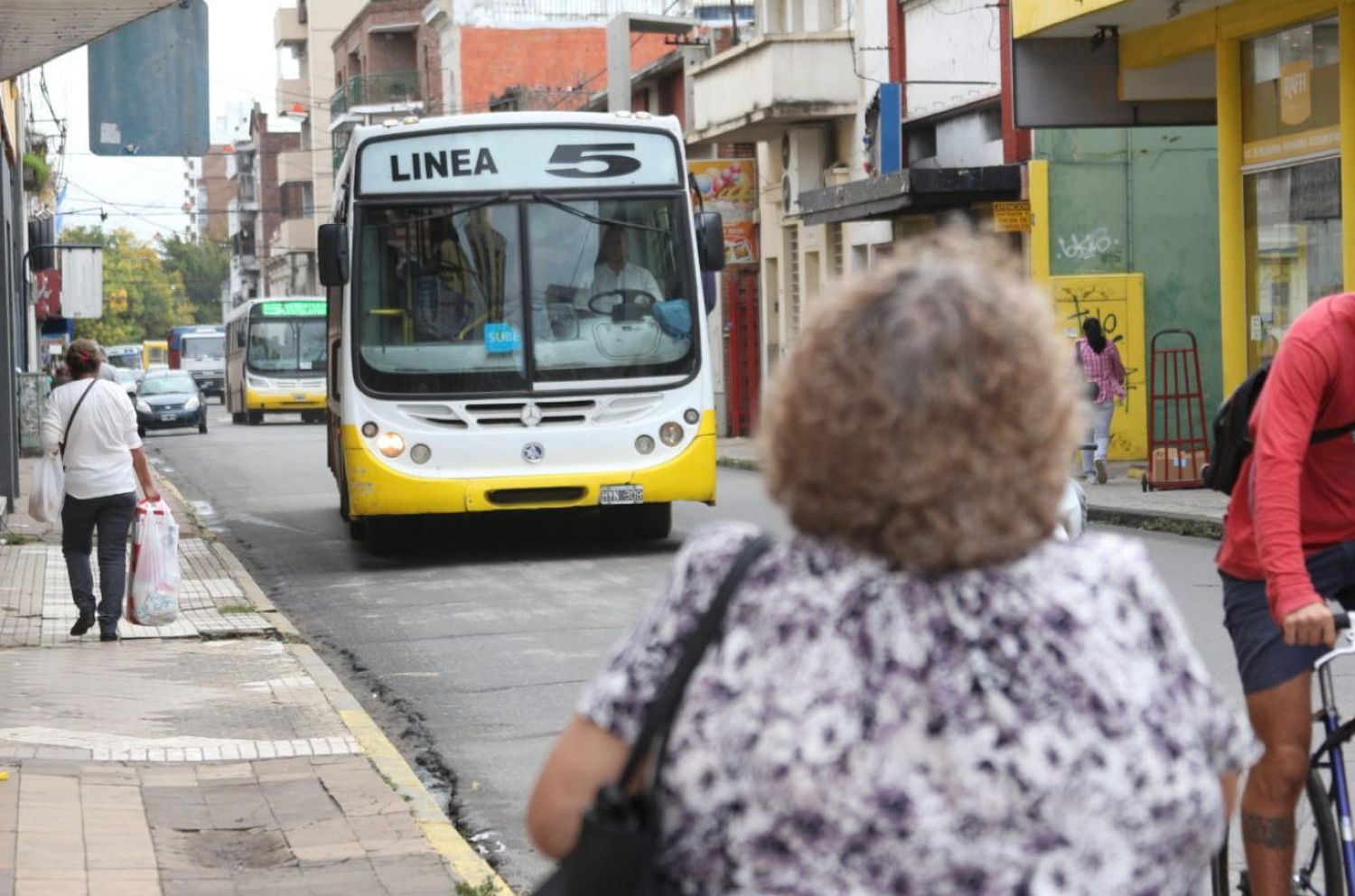 Advertencia de las empresas de transporte de colectivos: podrían hacer medias de fuerza