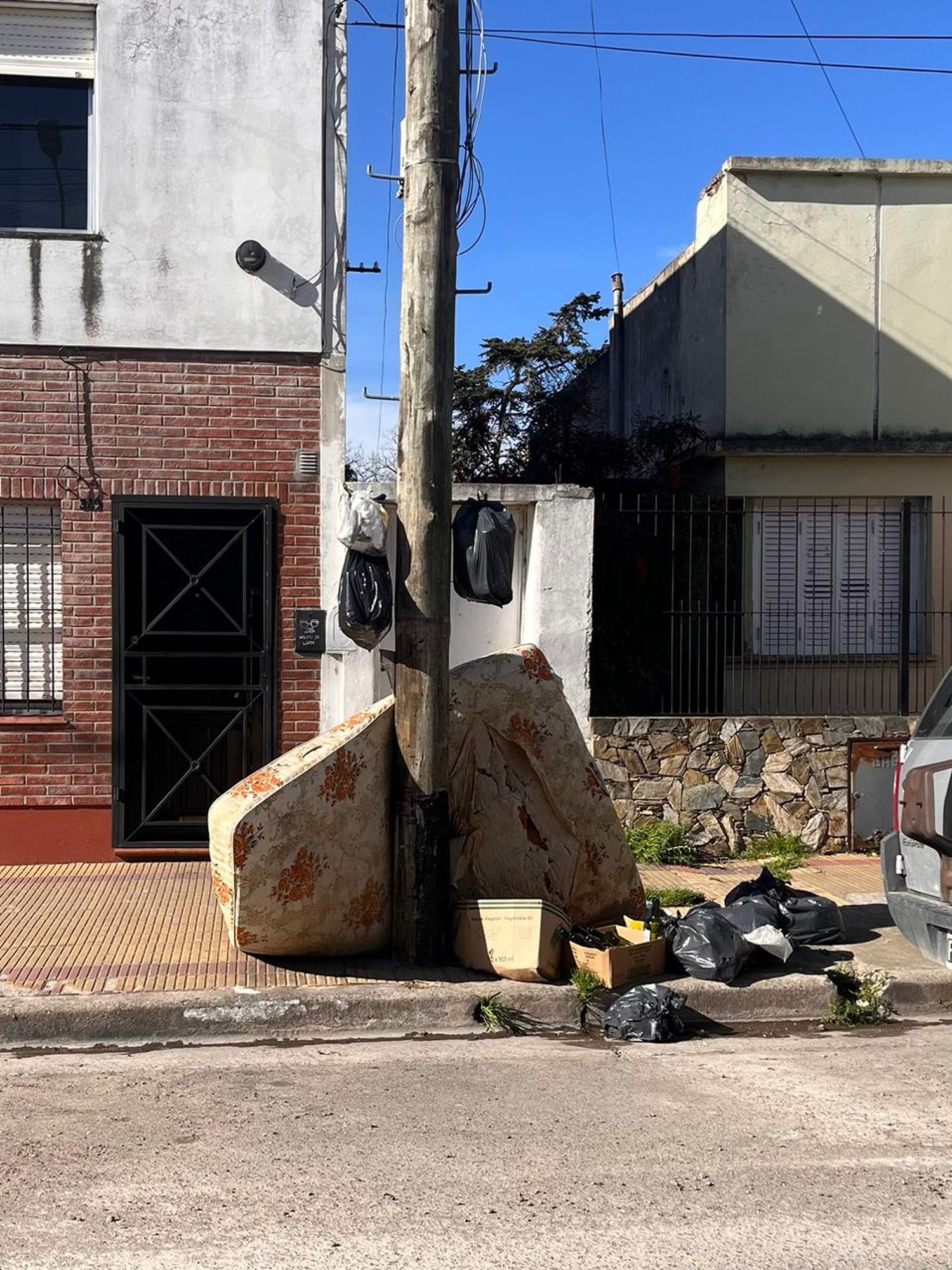 Basura san lorenzo al 300 - 1