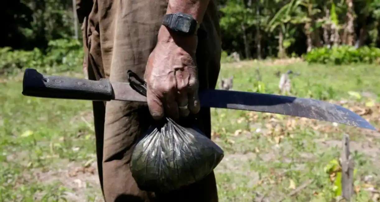 Cómo operan las bandas narcos en Bolivia, y los efectos en nuestro país