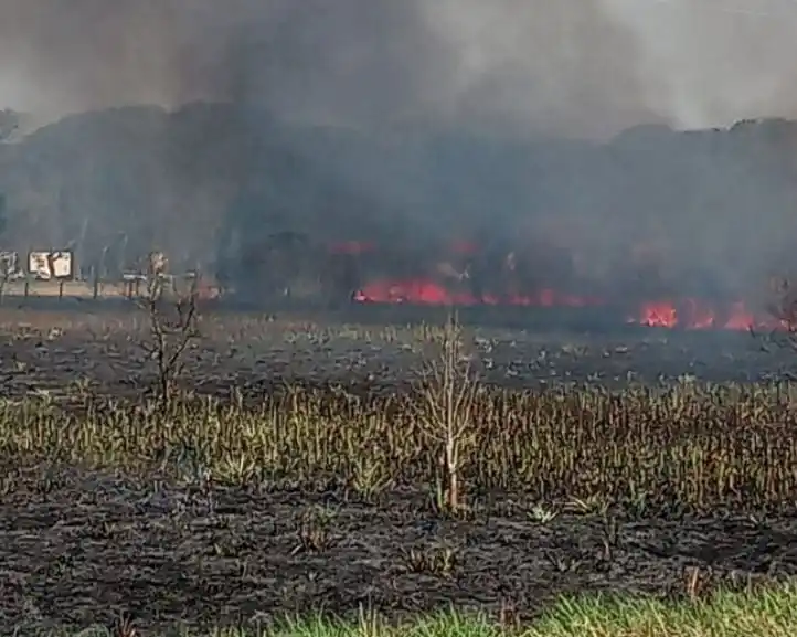 Empresa rosarina busca lotear tierras en las islas
