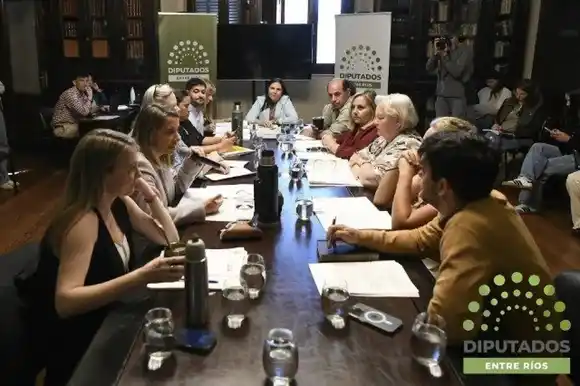 La Cámara de Diputados de Entre Ríos cerró la reforma del Consejo de la Magistratura