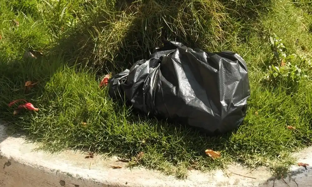 TENÍA MORDIDAS DE UN PERRO: hallan un feto de 7 meses de gestación metido en una bolsa plástica en Táchira