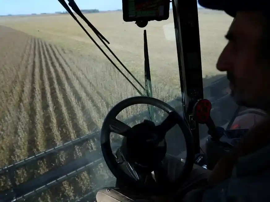 A la buena noticia de volver con la trilla, se suma que los resultados de la cosecha están siendo prometedores. Crédito: Reuters/Matias Baglietto