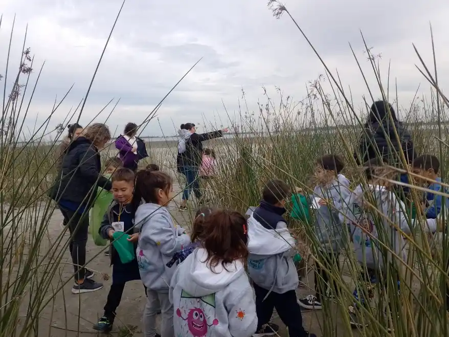 ONG Econciencia: Aprender jugando…