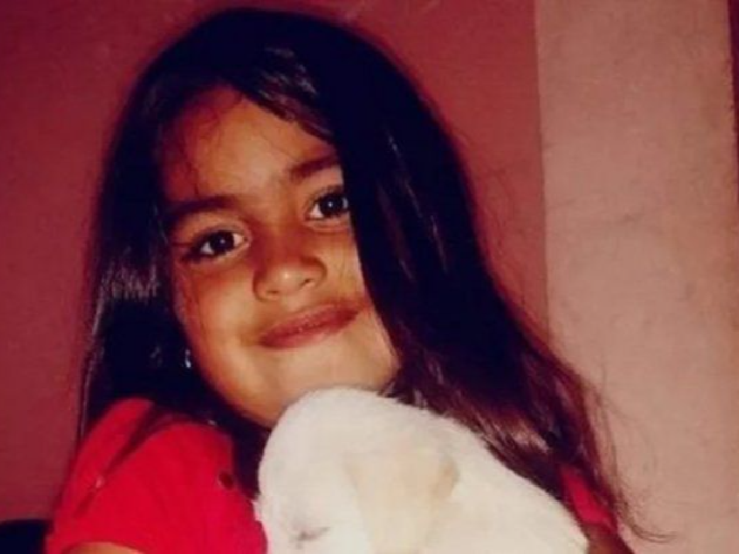 Activaron el Alerta Sofía para dar con la nena de 5 años desaparecida en San Luis