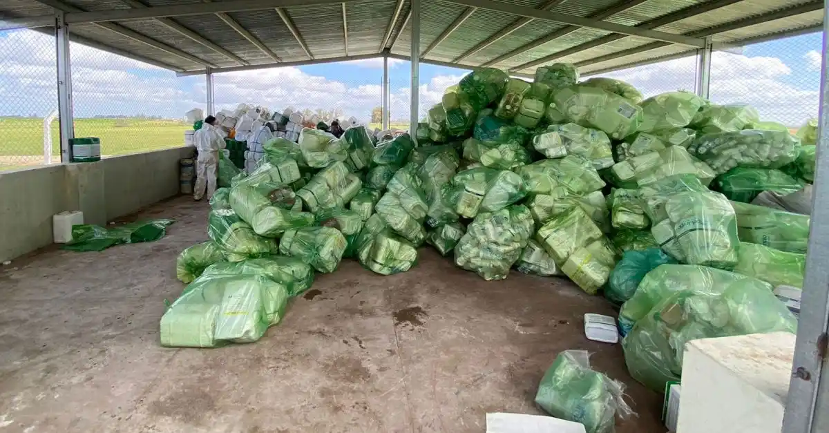 Envío de envases vacíos de fitosanitarios de productores de Lobería