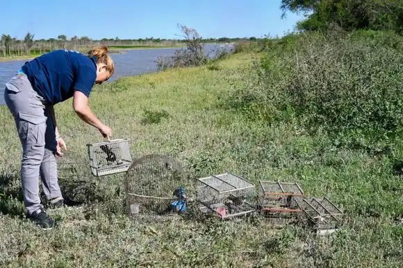 Control de Fauna: más de 300 aves liberadas