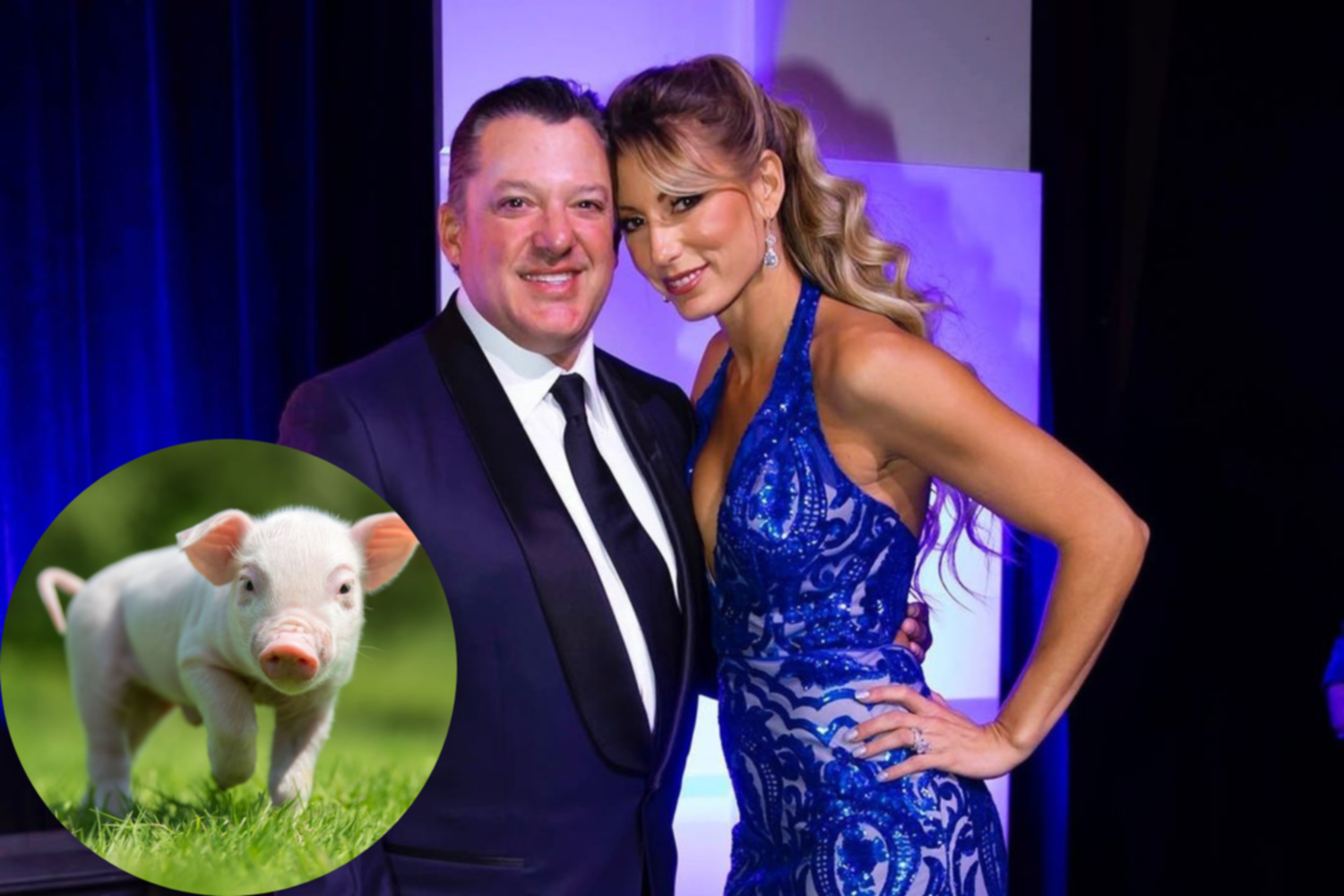 Tony Stewart, en problemas con su esposa por dormir con su cerdo