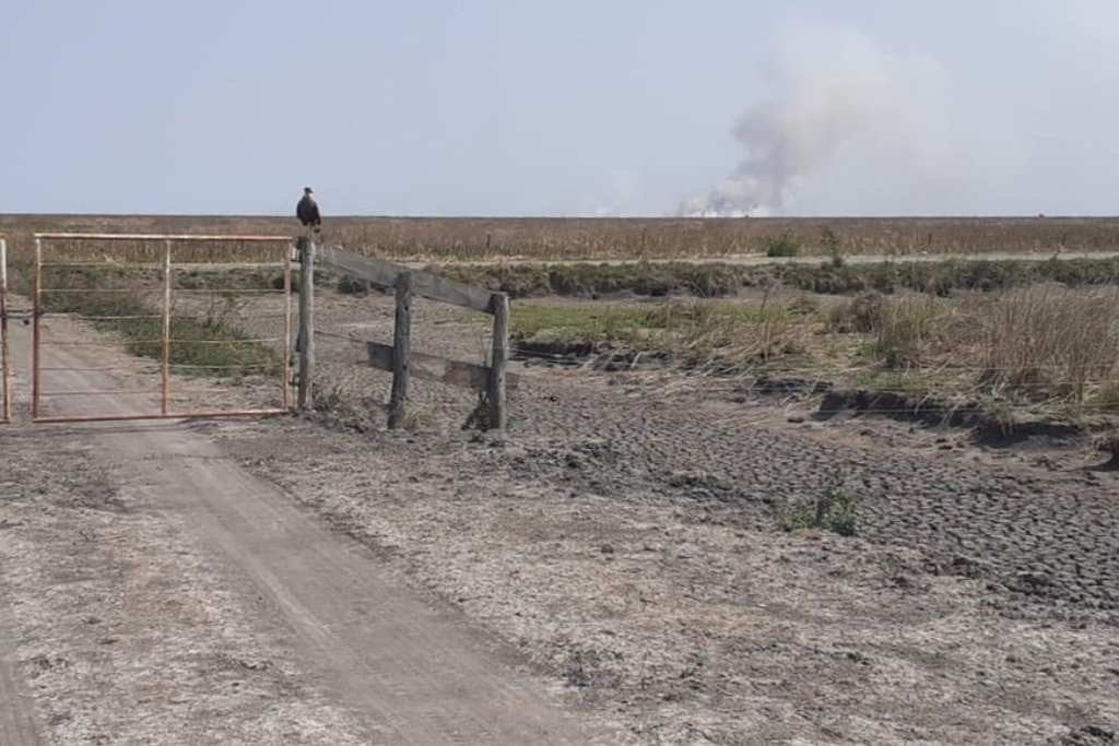 La emergencia se extiende en 9 de Julio, Vera, General Obligado y San Cristóbal.