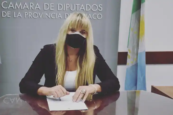 Liliana Spoljaric diputada chaqueña "viveza criolla" 