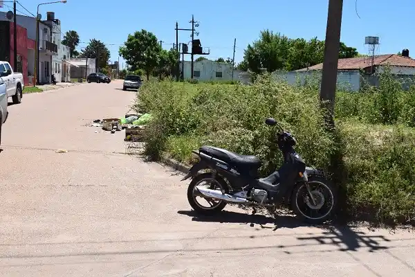 Pudo ser peor: un caballo suelto en la calle la hizo caer de la moto  