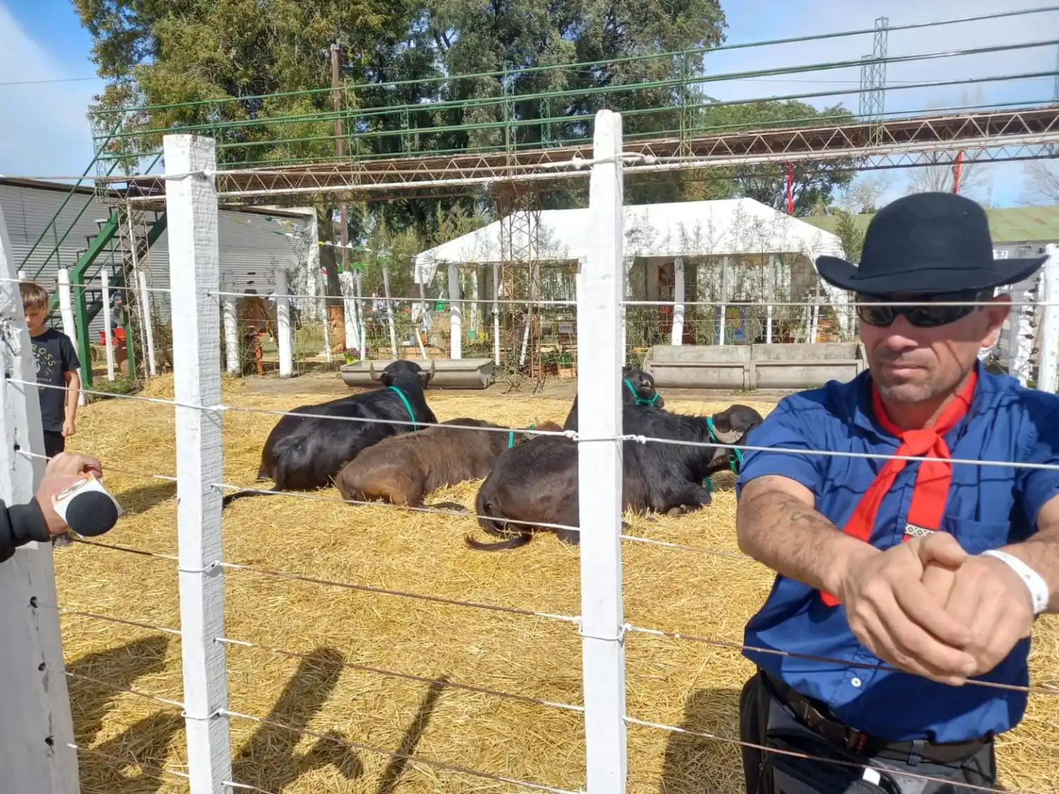 El responsable de la bufaloterapia respondió 
a las acusaciones de maltrato animal