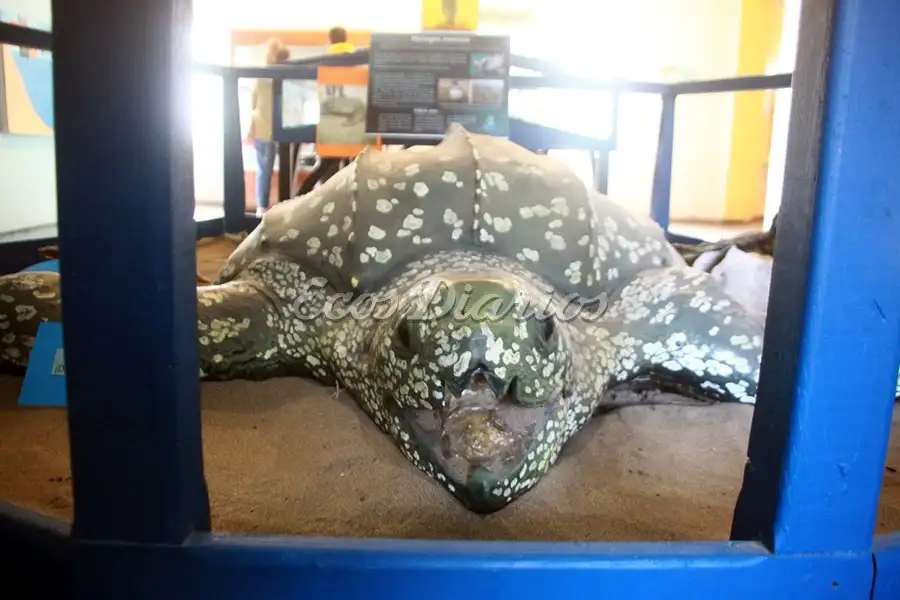 Atractiva muestra. En la Estación Hidrobiológica