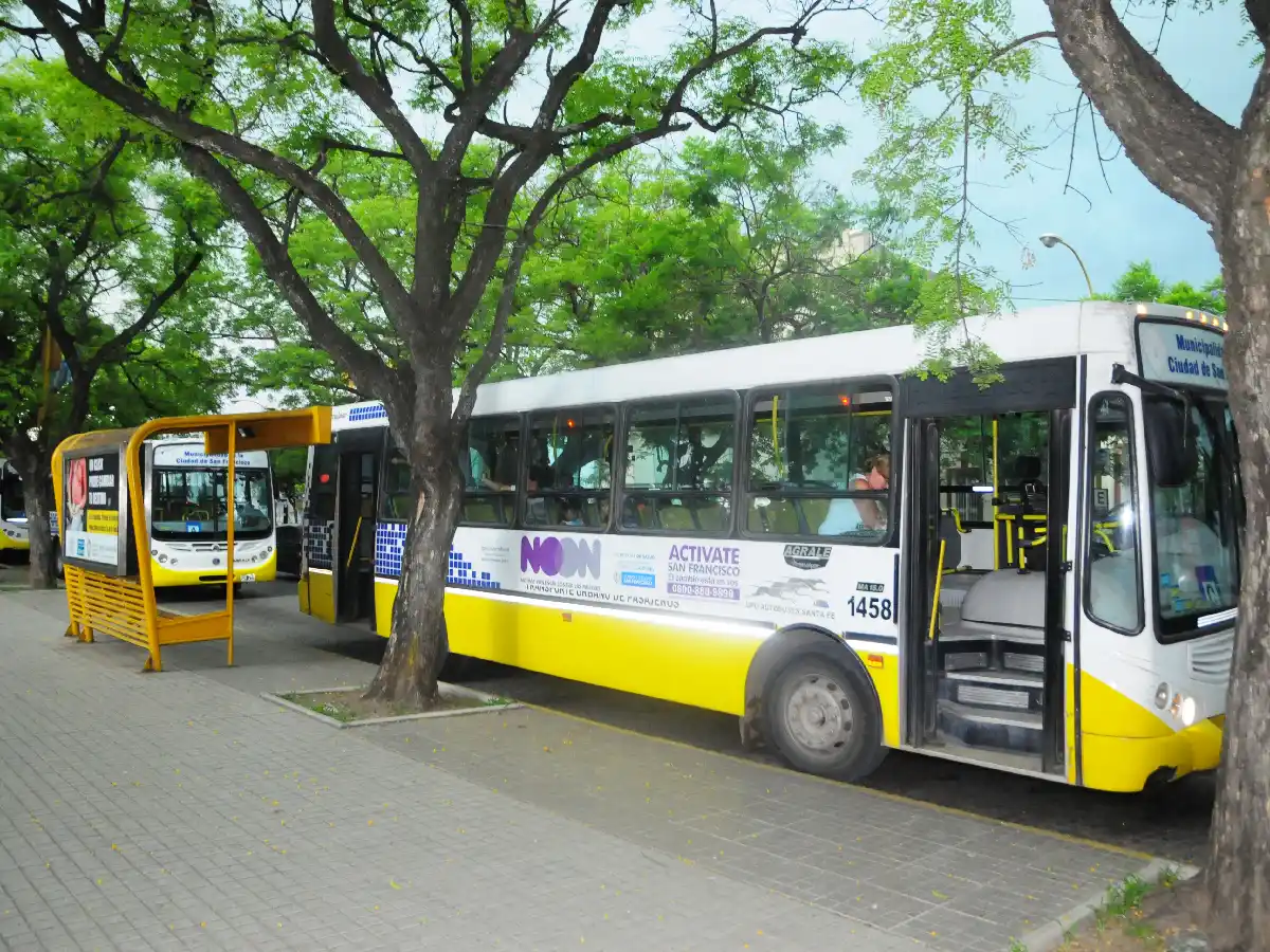 El transporte urbano sumó choferes y renovó colectivo   
