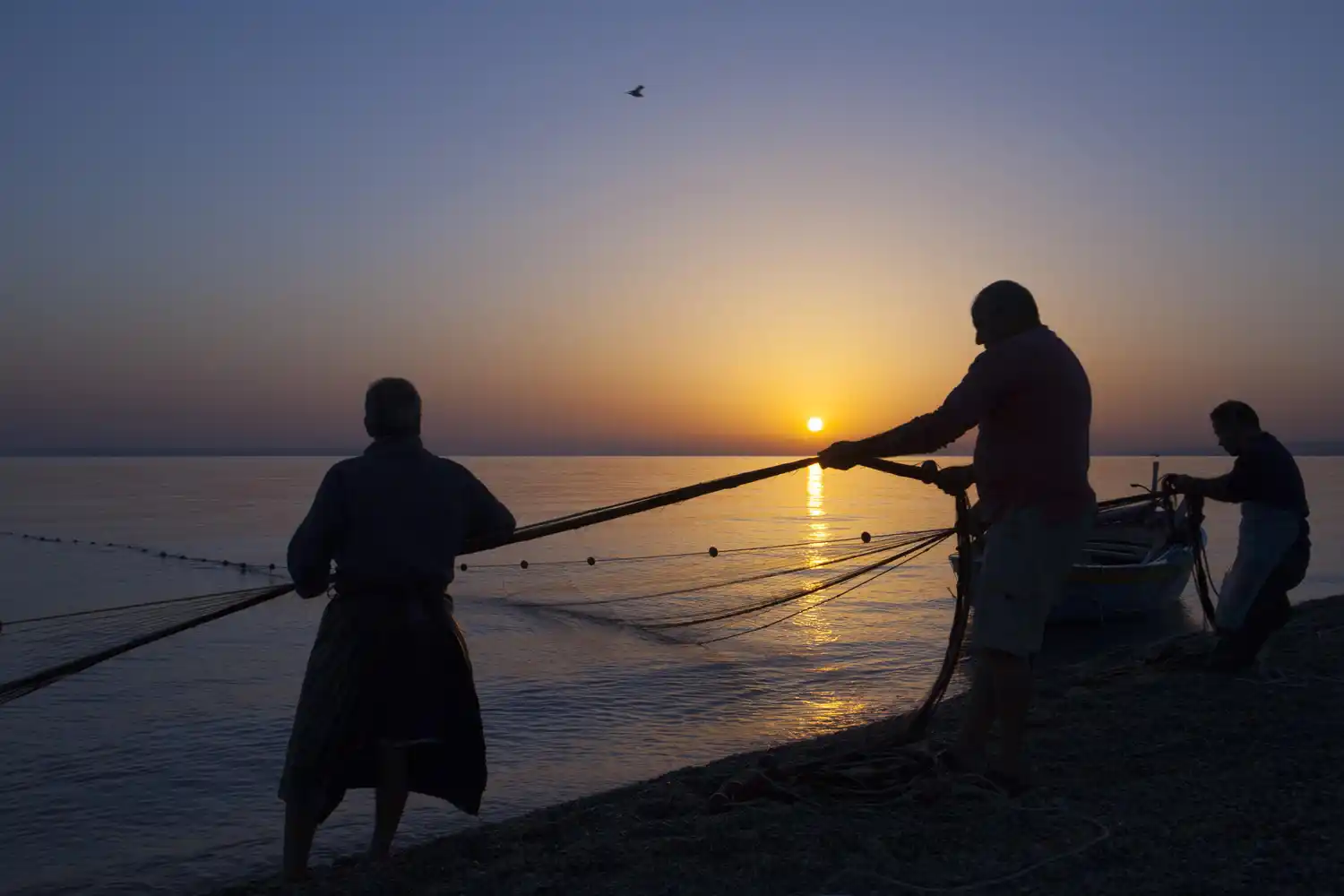 Rigen las Licencias de Pesca Comercial y Subsistencias