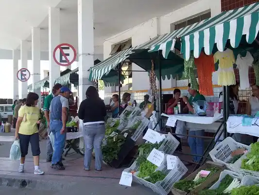 La ex terminal: en el corazón de la ciudad y con un futuro incierto 