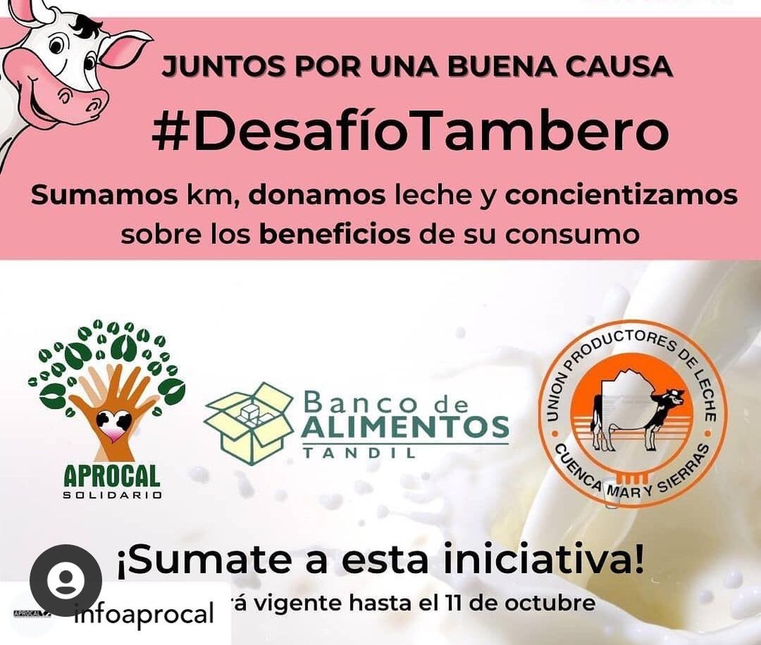 Desafio Tambero