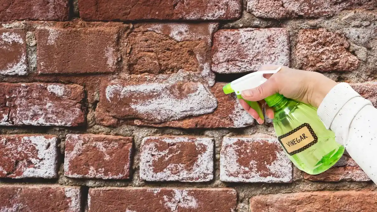 Rociar vinagre en las paredes de ladrillo: el truco casero que limpia, desinfecta y elimina olores
