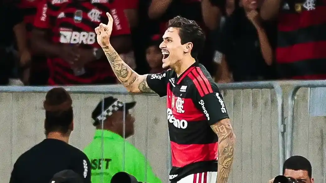 Pedro anotó para Flamengo.