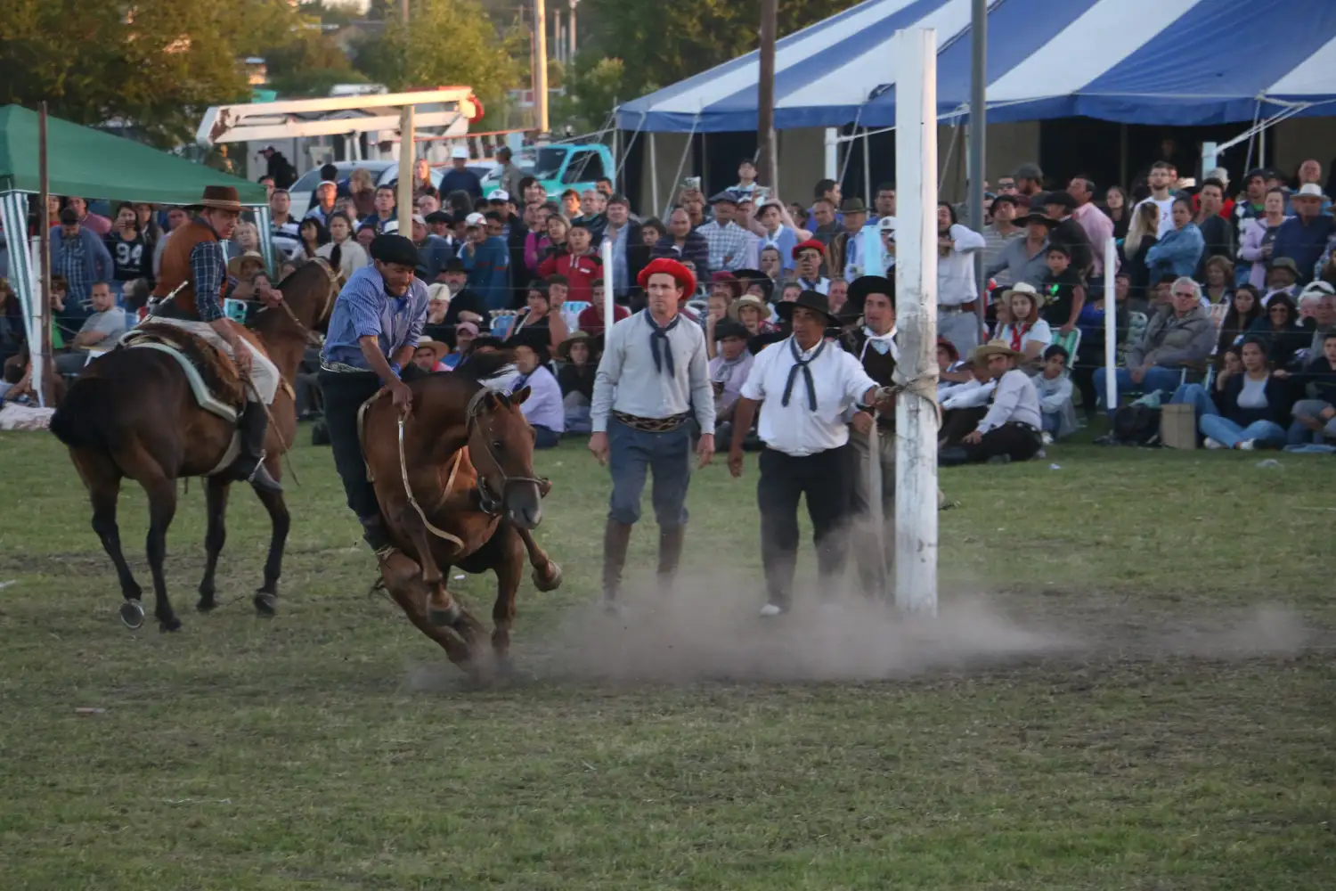 La doma y el folclore estuvieron presentes en los festejos de las Costumbres Argentinas