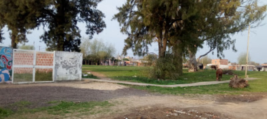 Caballo suelto atacó a una docente en la escuela 47