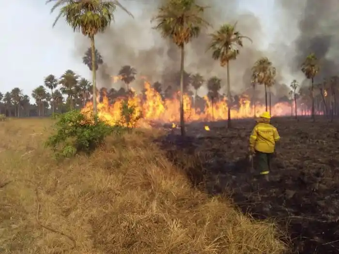 Desde el Parque Río Pilcomayo continúan trabajando para crear conciencia ambiental