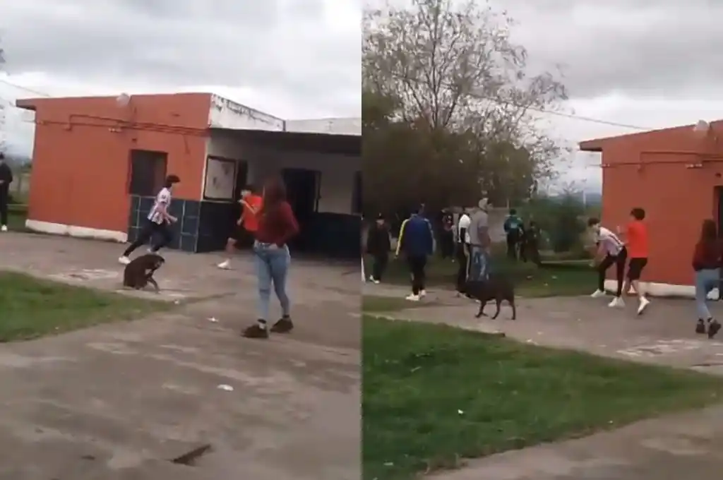Pelea entre alumnos de una escuela de Acheral