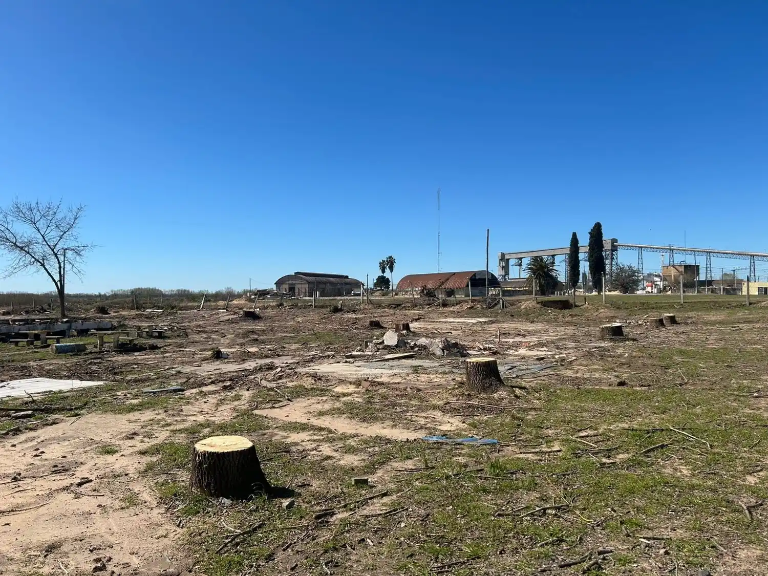 ecocidio en pesca y casting