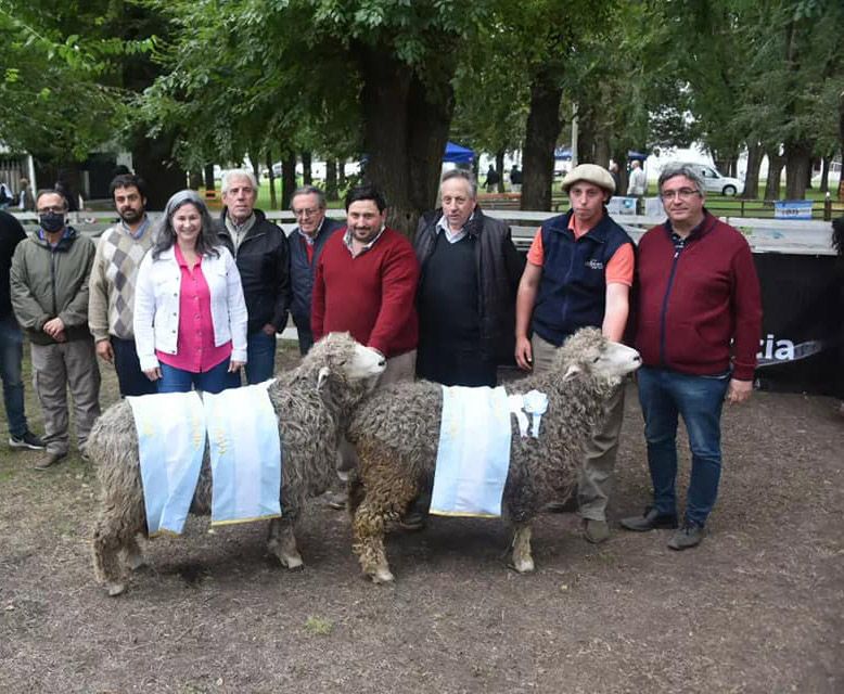 El programa es que la producción ovina siga creciendo en la provincia