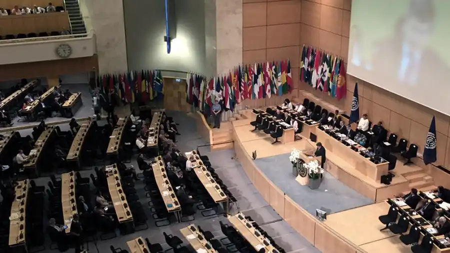 Destacan la alta protección social a la niñez y la adolescencia en Argentina