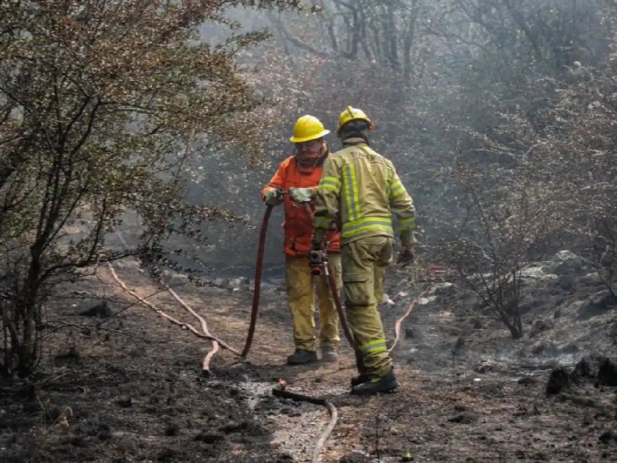 Declaran a Córdoba en emergencia agropecuaria