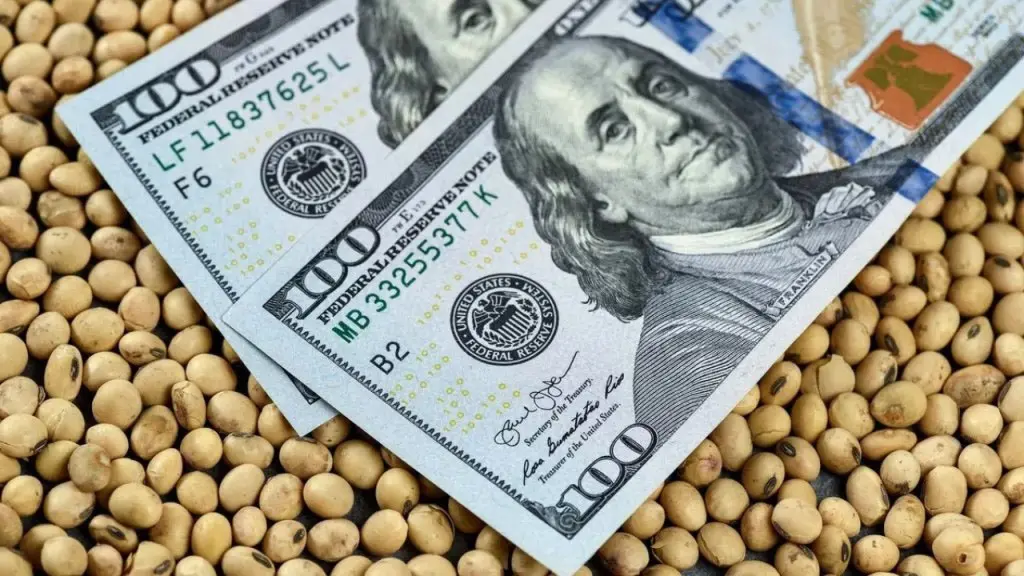 Los productores agrícolas buscan nuevas estrategias para cuidar su rentabilidad