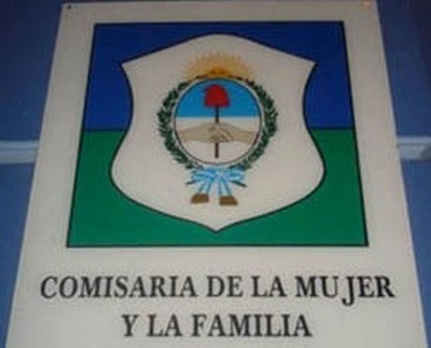 Contra la violencia de género: Ya hay 70 Comisarías de la Mujer en la Provincia