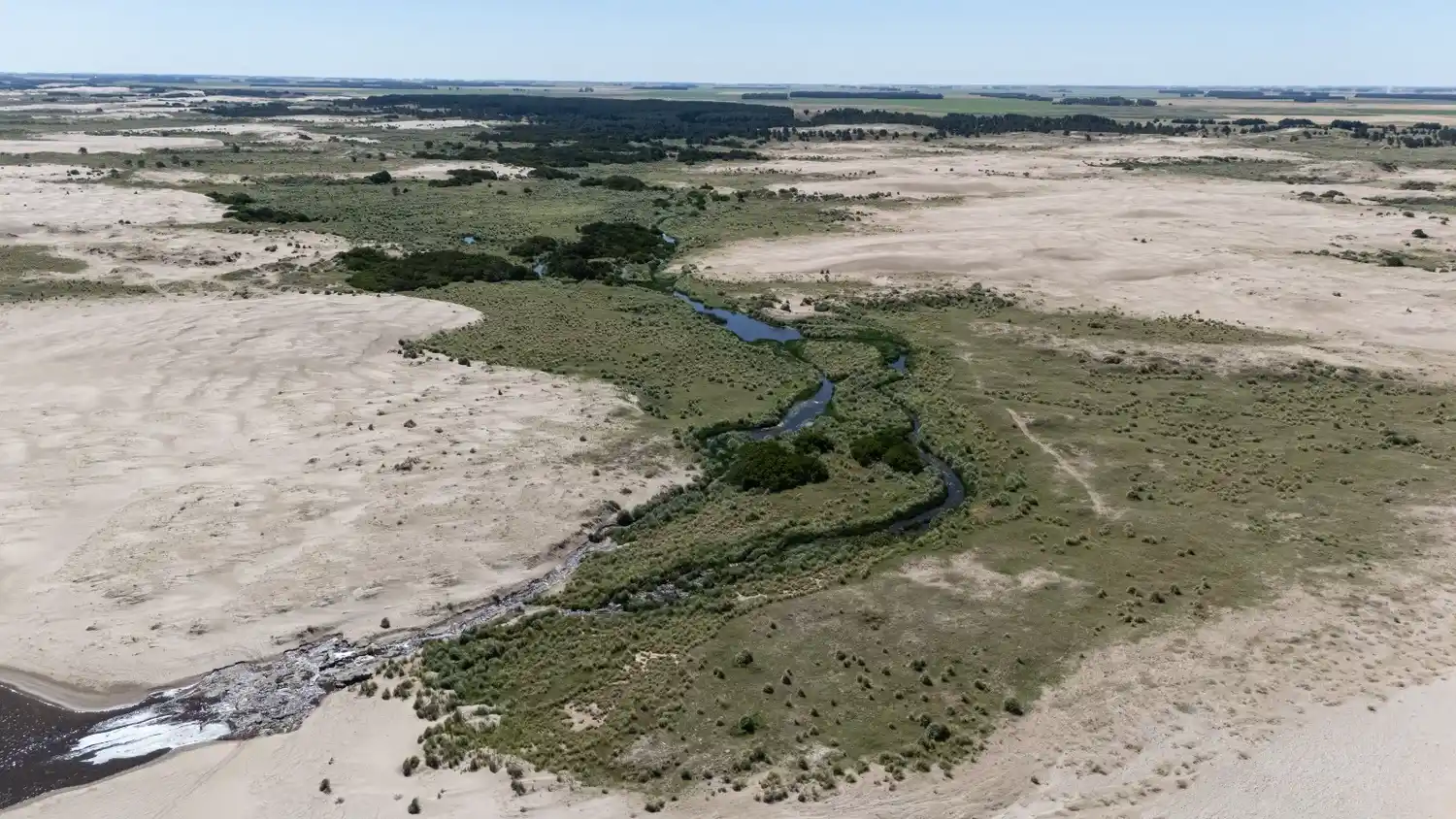Reserva Arroyo Zabala (Foto: Ecos Diarios)