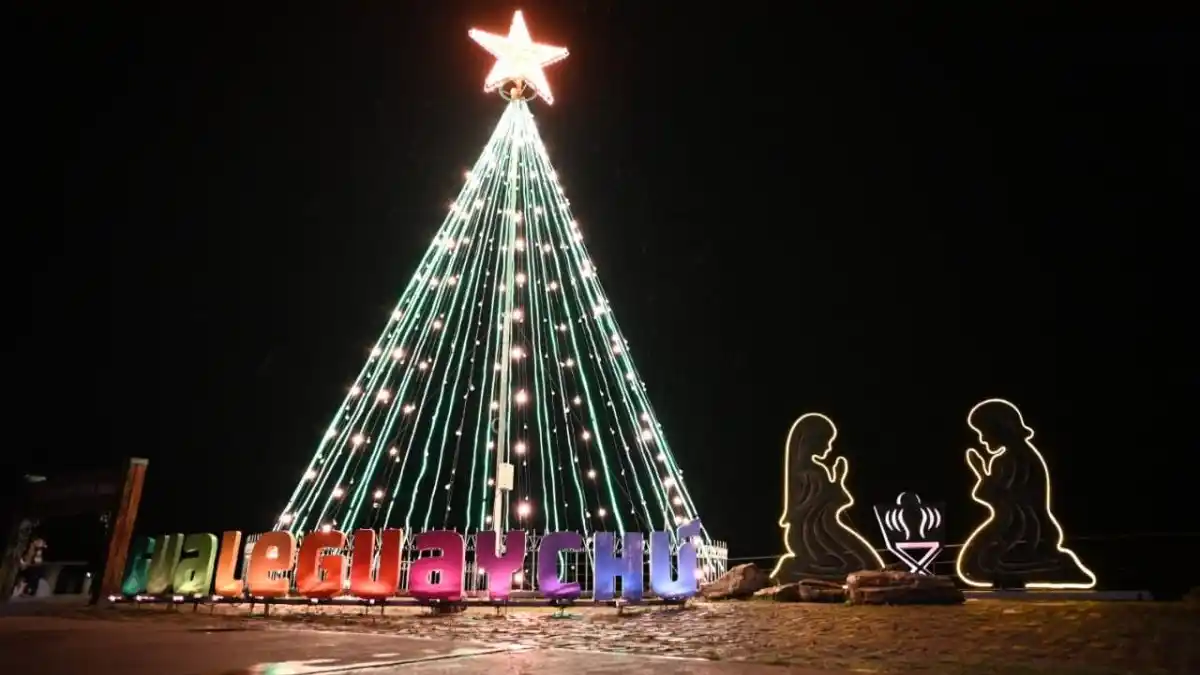 Gualeguaychú encendió su árbol de Navidad en el Paseo del Puerto