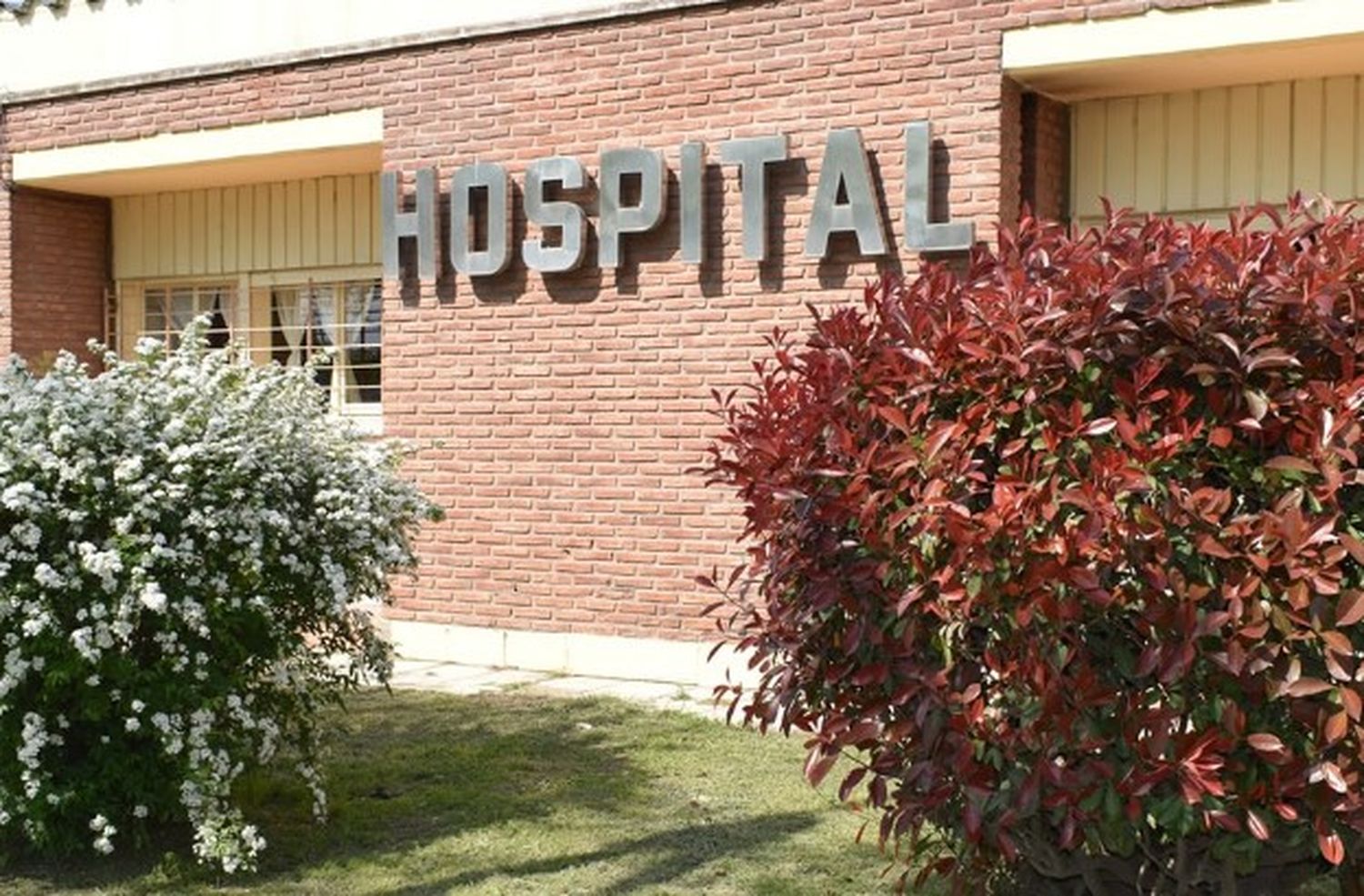 Un conflicto entre médicos y la dirección del Hospital de Rufino desembocó en la renuncia de la directora médica, Daniela Scaglia, a sólo cuatro meses de haber asumido ese cargo.