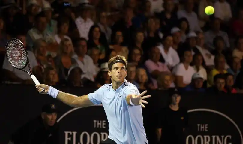 Del Potro: "No se puede errar pelotas tan fáciles"